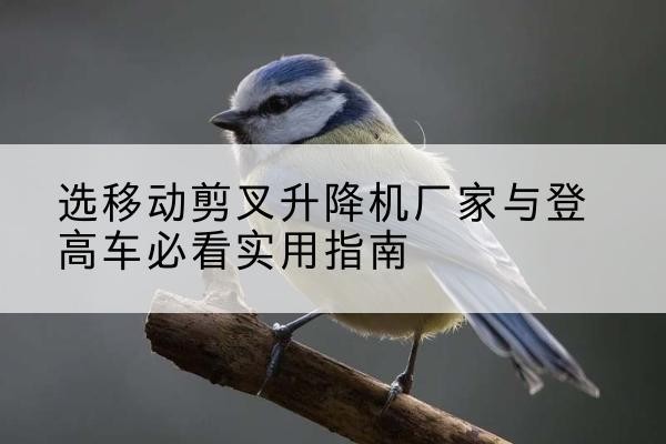 新昌电动升降机厂家-选移动剪叉升降机厂家与登高车必看实用指南