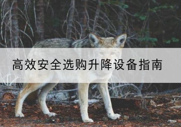 新昌升降货梯厂家推荐-*安全选购升降设备指南