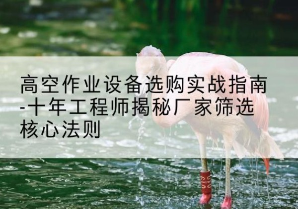 新昌剪叉式升降机厂家-高空作业设备选购实战指南-十年工程师揭秘厂家筛选核心法则
